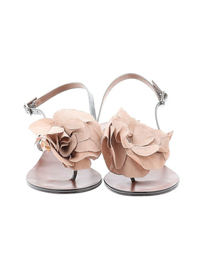2 shoe size - 8